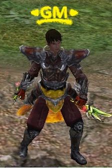 gm_vok.jpg
